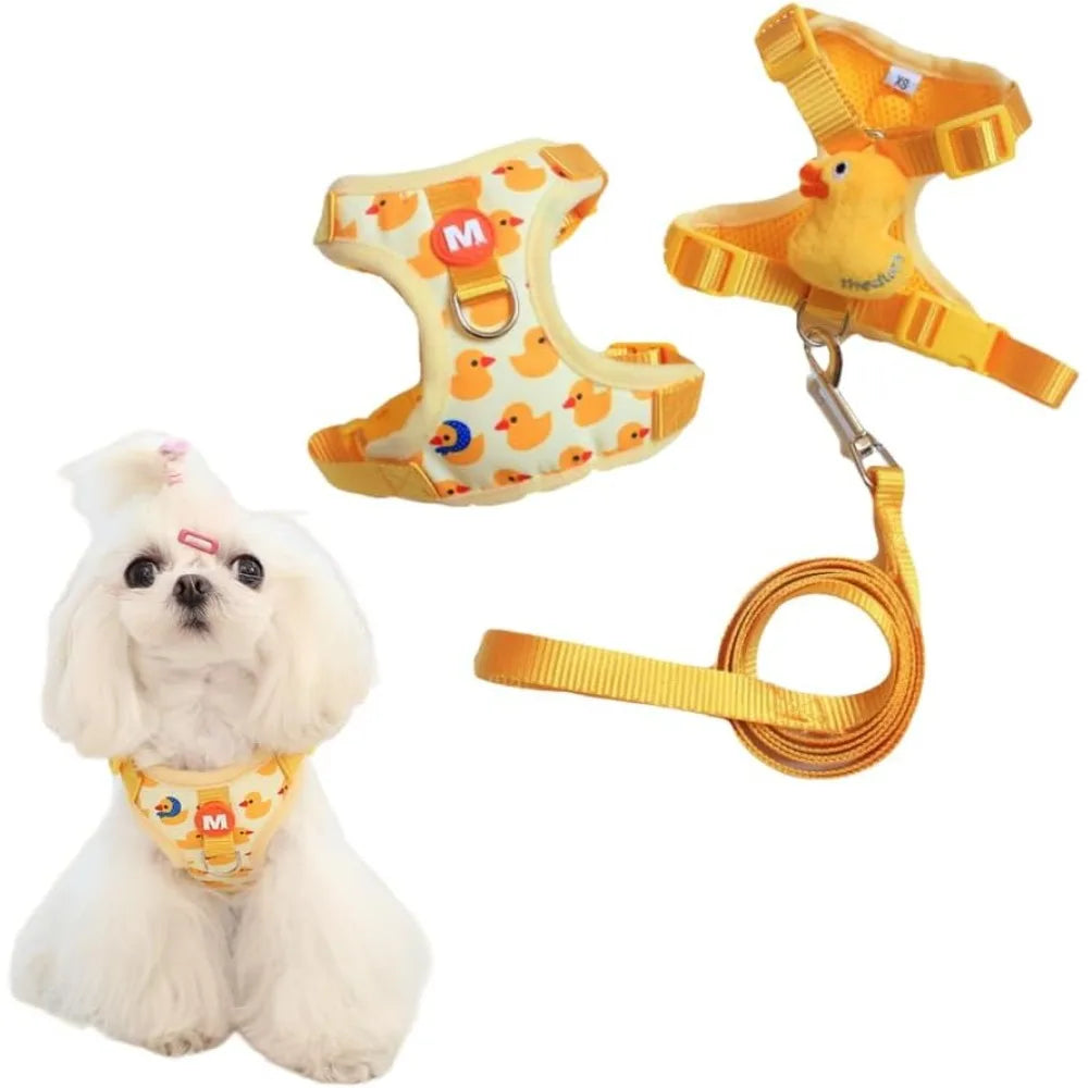 Dachshund Comfort Harness & Leash Set™ | Adjustable No-Pull Fit for Everyday Walks