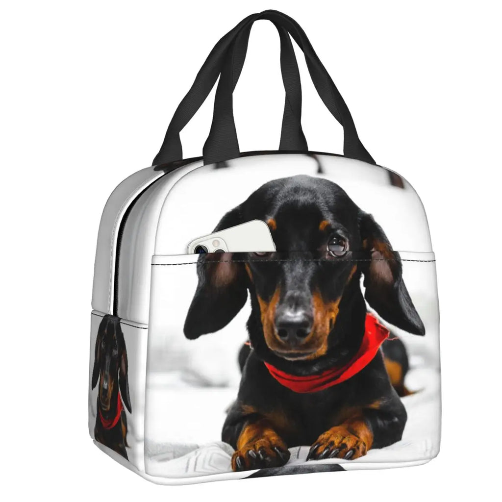DoxieLunch™ Insulated Lunch Tote – The Perfect Lunch Bag for Dachshund Lovers