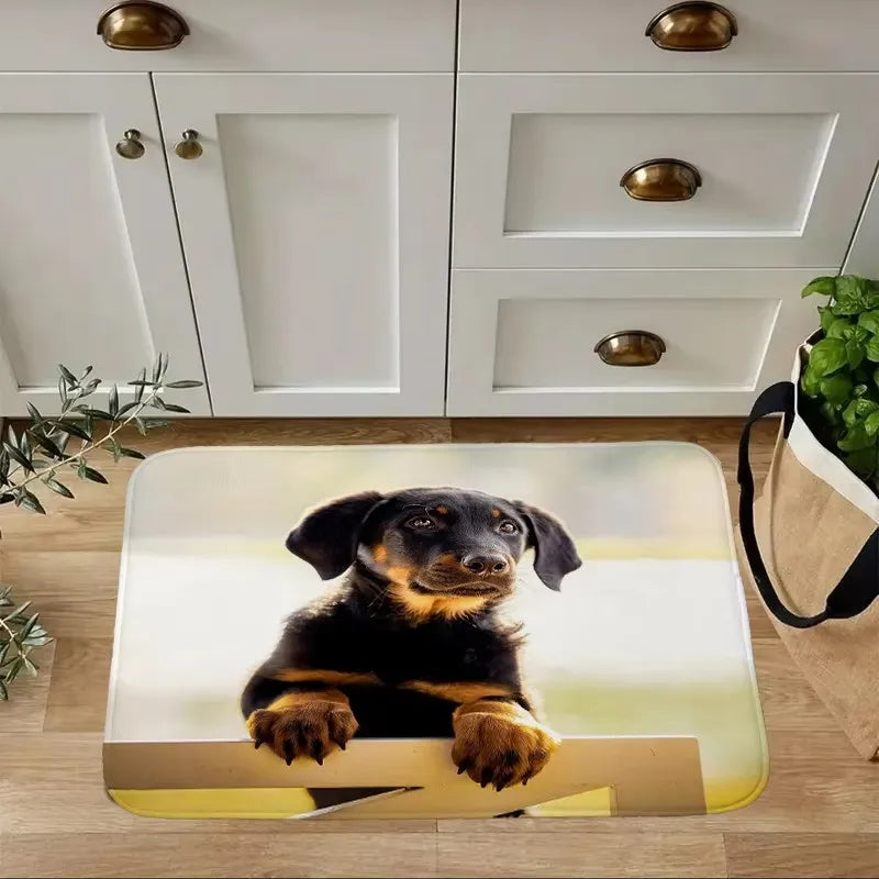 Dachshund Welcome Mat – Non-Slip Indoor Rug for Entryway, Kitchen & Living Room