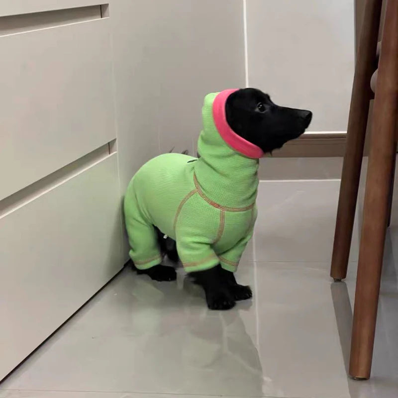 Dachshund Essential™ Waffle Shirt – Ultra-Soft Everyday Comfort for Sausage Dogs