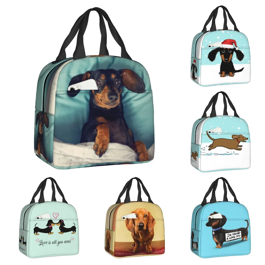 DoxieLunch™ Insulated Lunch Tote – The Perfect Lunch Bag for Dachshund Lovers