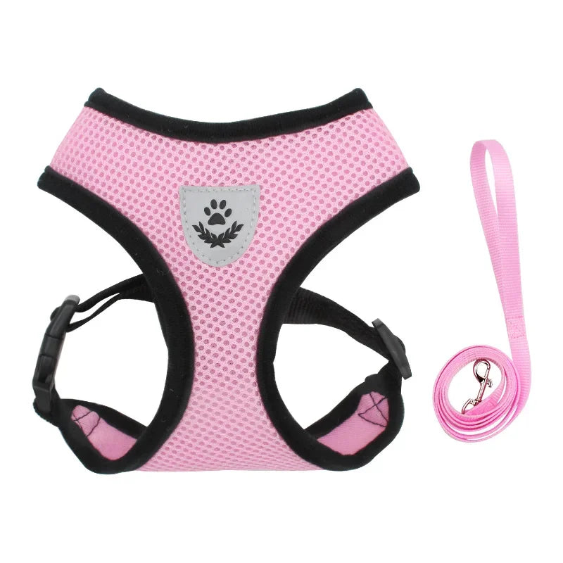 Dachshund AirMesh Harness™ | Lightweight Breathable Comfort for Every Walk