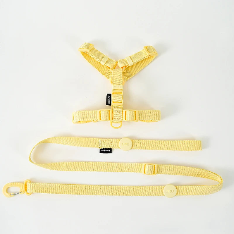 Dachshund Walk Set™ | Adjustable Reflective Harness, Collar & Leash Bundle