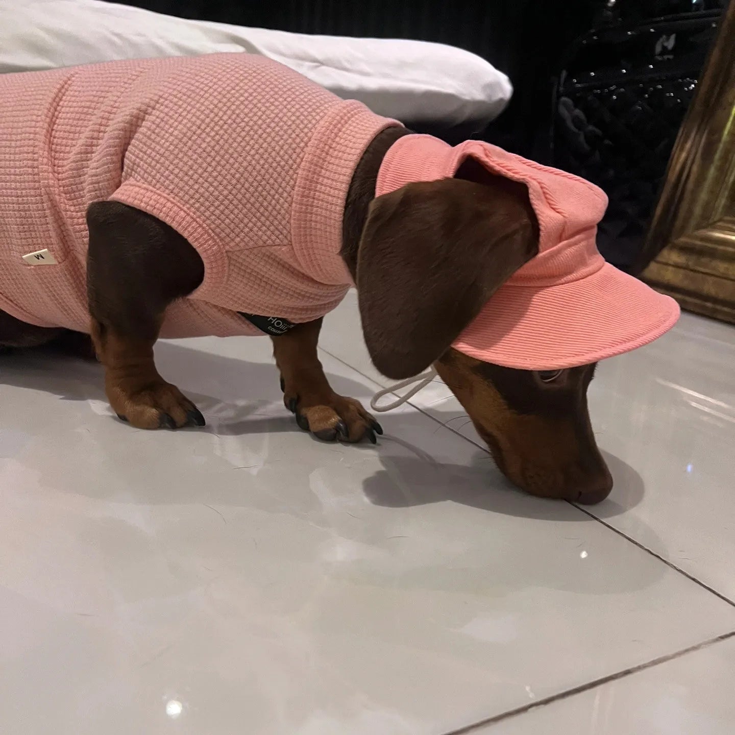 Dachshund Waffle Summer Vest™ | Lightweight & Breathable Pink Outfit for Sausage Dogs