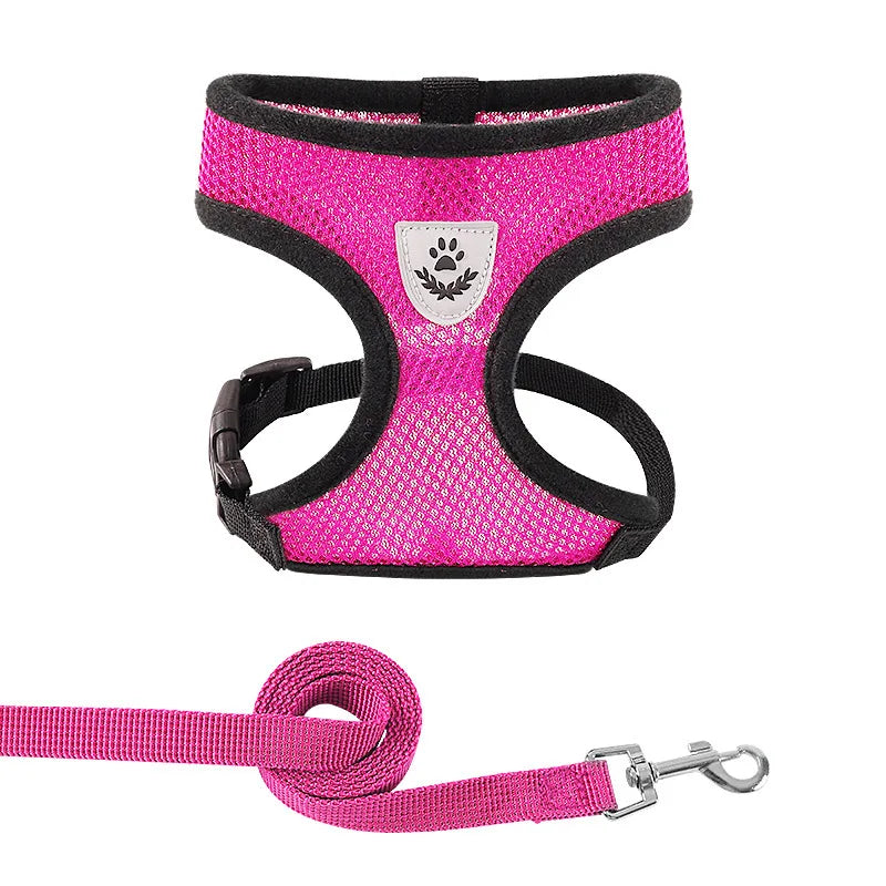 Dachshund AirMesh Harness™ | Lightweight Breathable Comfort for Every Walk