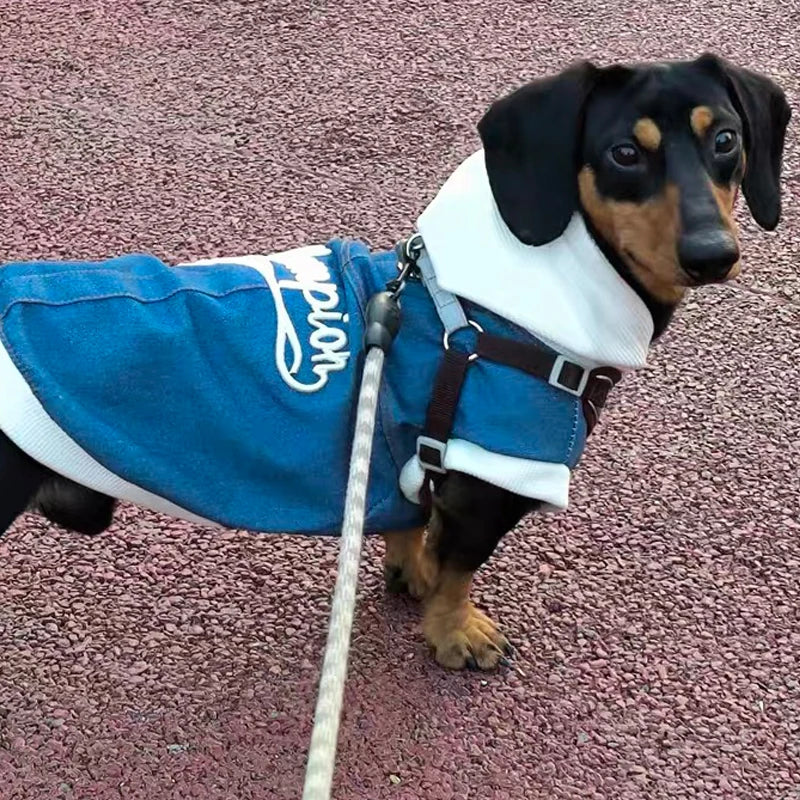 Dachshund Denim Hoodie™ – Premium Jean Jacket for Stylish Sausage Dogs