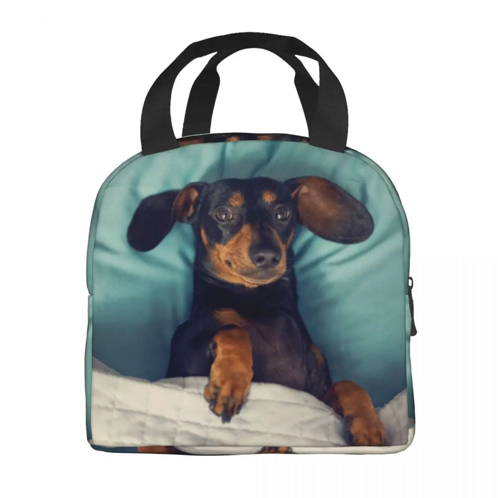 DoxieLunch™ Insulated Lunch Tote – The Perfect Lunch Bag for Dachshund Lovers