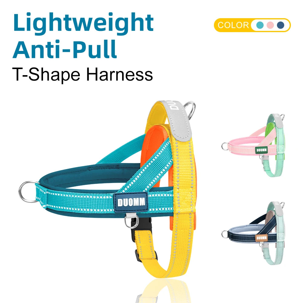 Dachshund AirFlow Harness™ | Lightweight No-Pull Comfort for Everyday Adventures