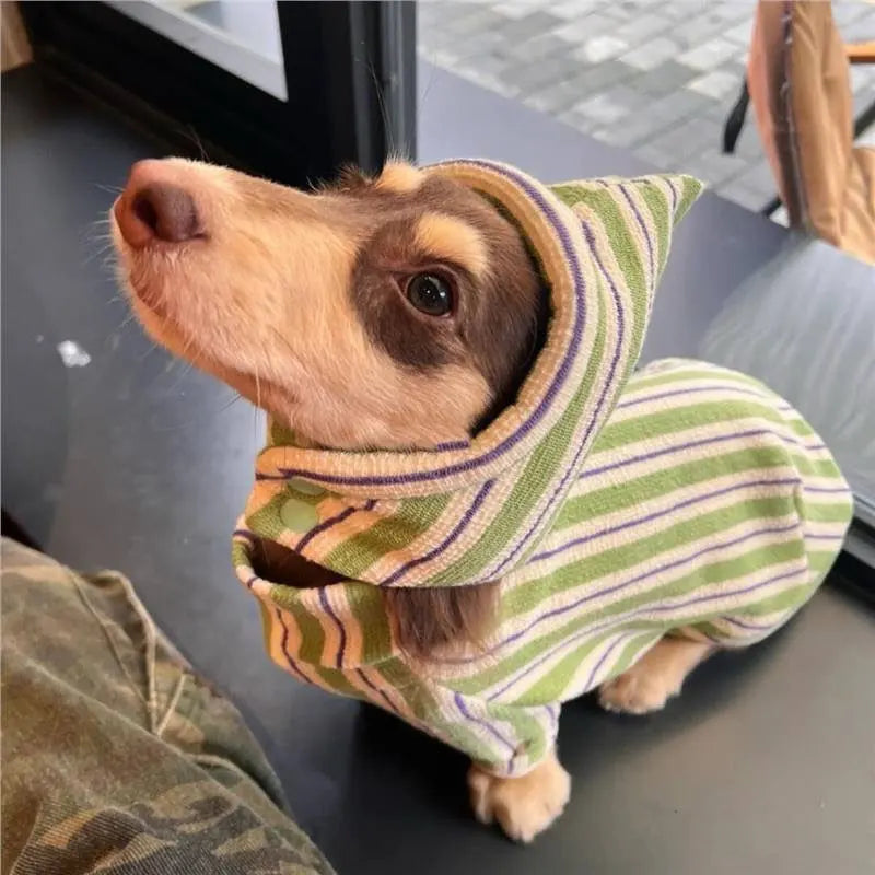 Classic Green Stripe Dachshund Sweater – Soft Cotton Pullover for Stylish Sausage Dogs