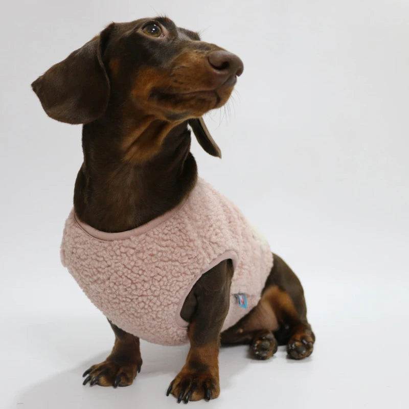 Dachshund Fleece Dog Hoodie – Warm Winter Sweatshirt