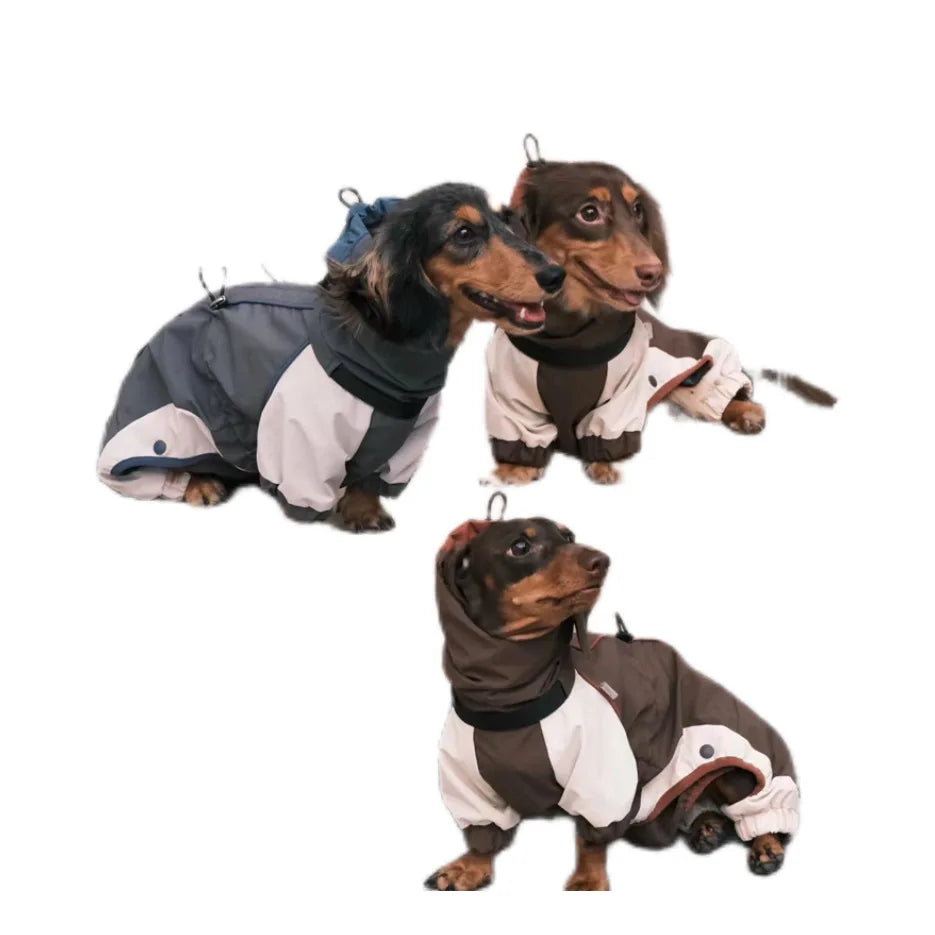 Dachshund Winter Comfort Jacket – Warm & Cozy Coat for Cold Weather Walks