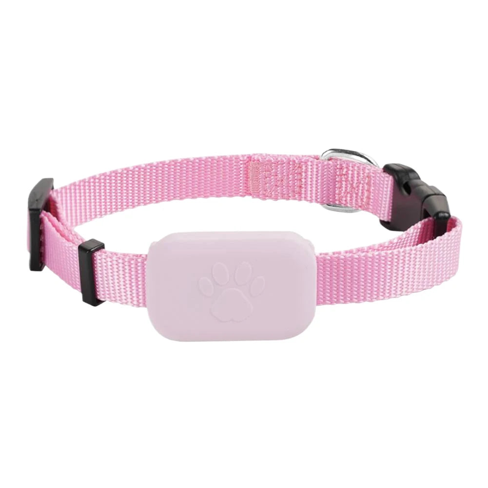 Dachshund Guardian GPS Tracker – Never Lose Sight of Your Best Friend