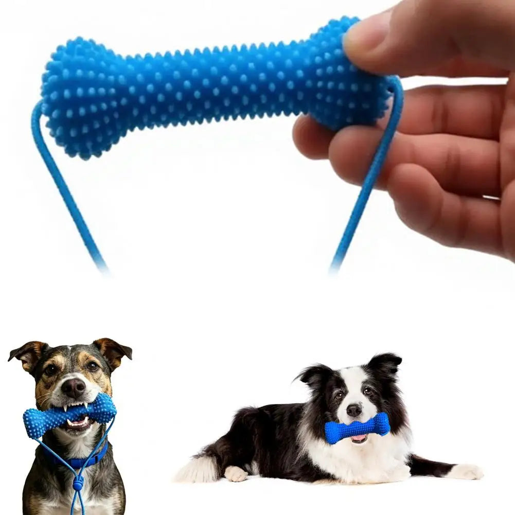 Dachshund Dental Care Chew Toy – Interactive Rubber Tooth Cleaning Aid for Dogs | Fresh Breath & Daily Oral Hygiene Tool for Small & Medium Dogs
