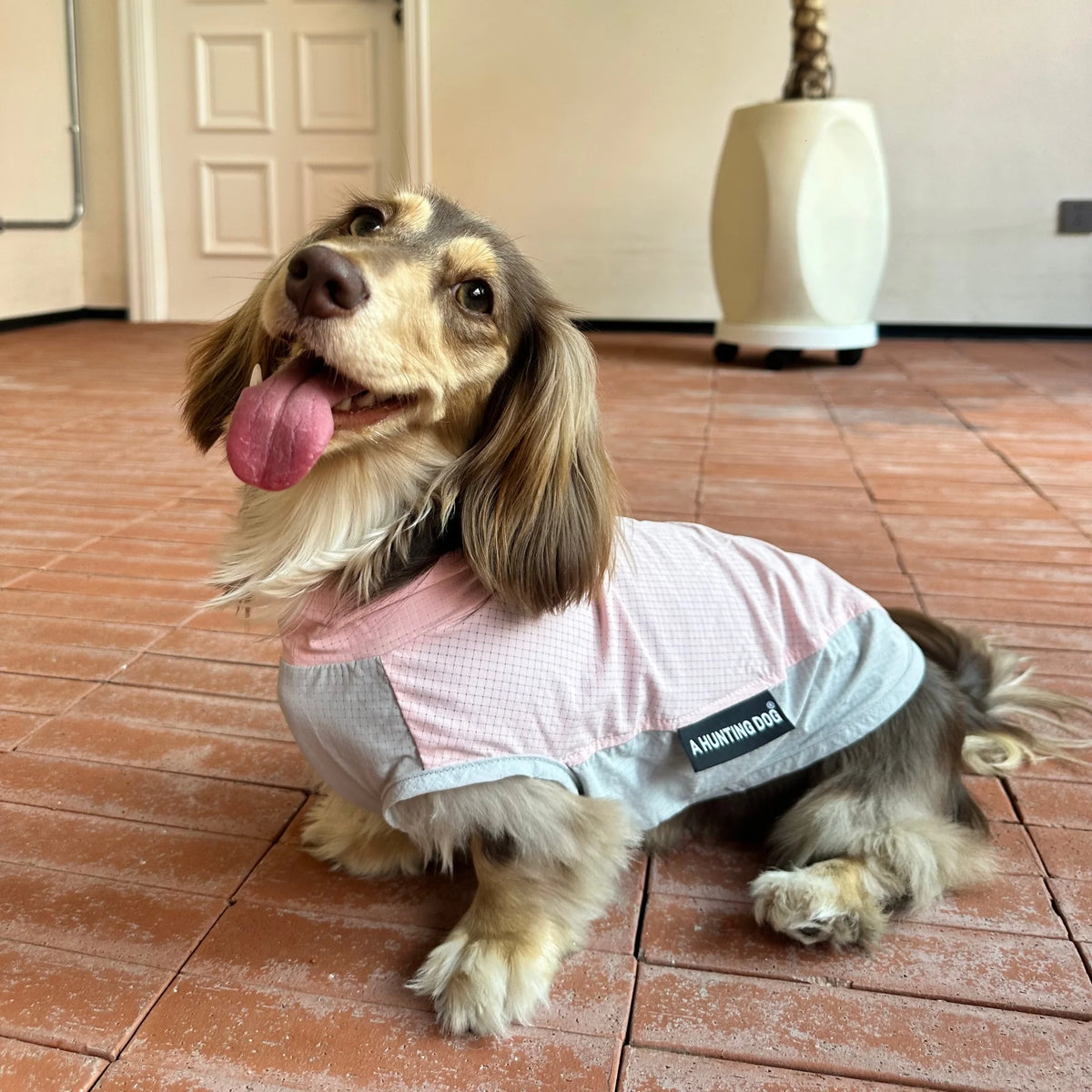 Dachshund CoolGuard™ Vest – Cooling & Sun Protection Jacket for Summer Walks