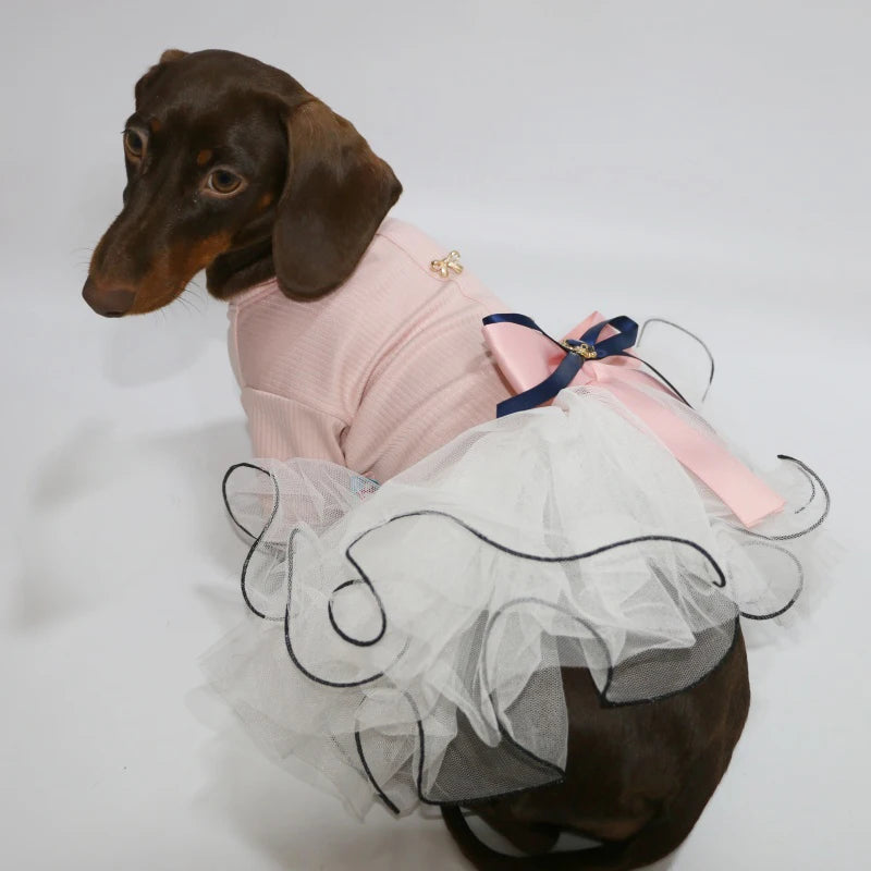 Pink Princess Dress for Dachshunds – Soft Lace Summer Dress for Stylish Sausage Dogs