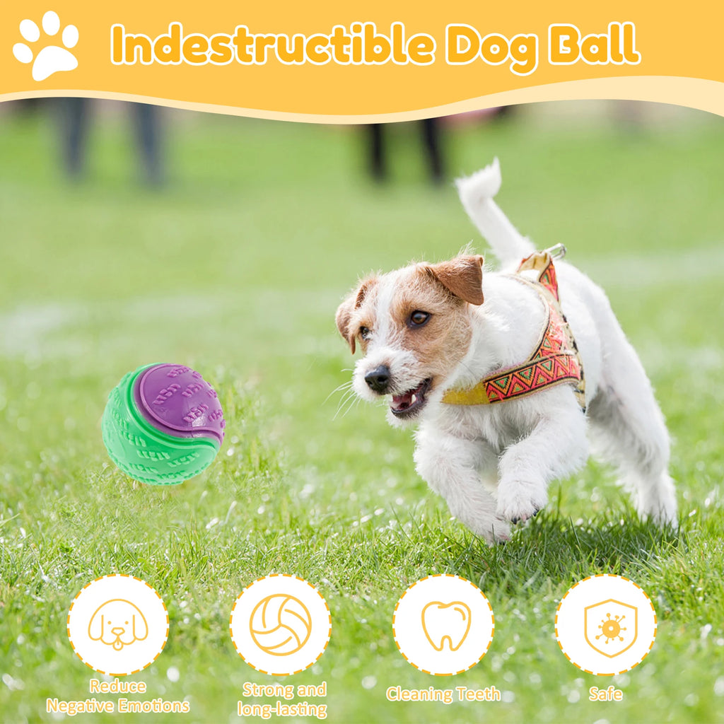 Premium 6-Pack Squeaky Balls for Dachshunds | Durable Interactive Chew Toys for Play & Dental Care