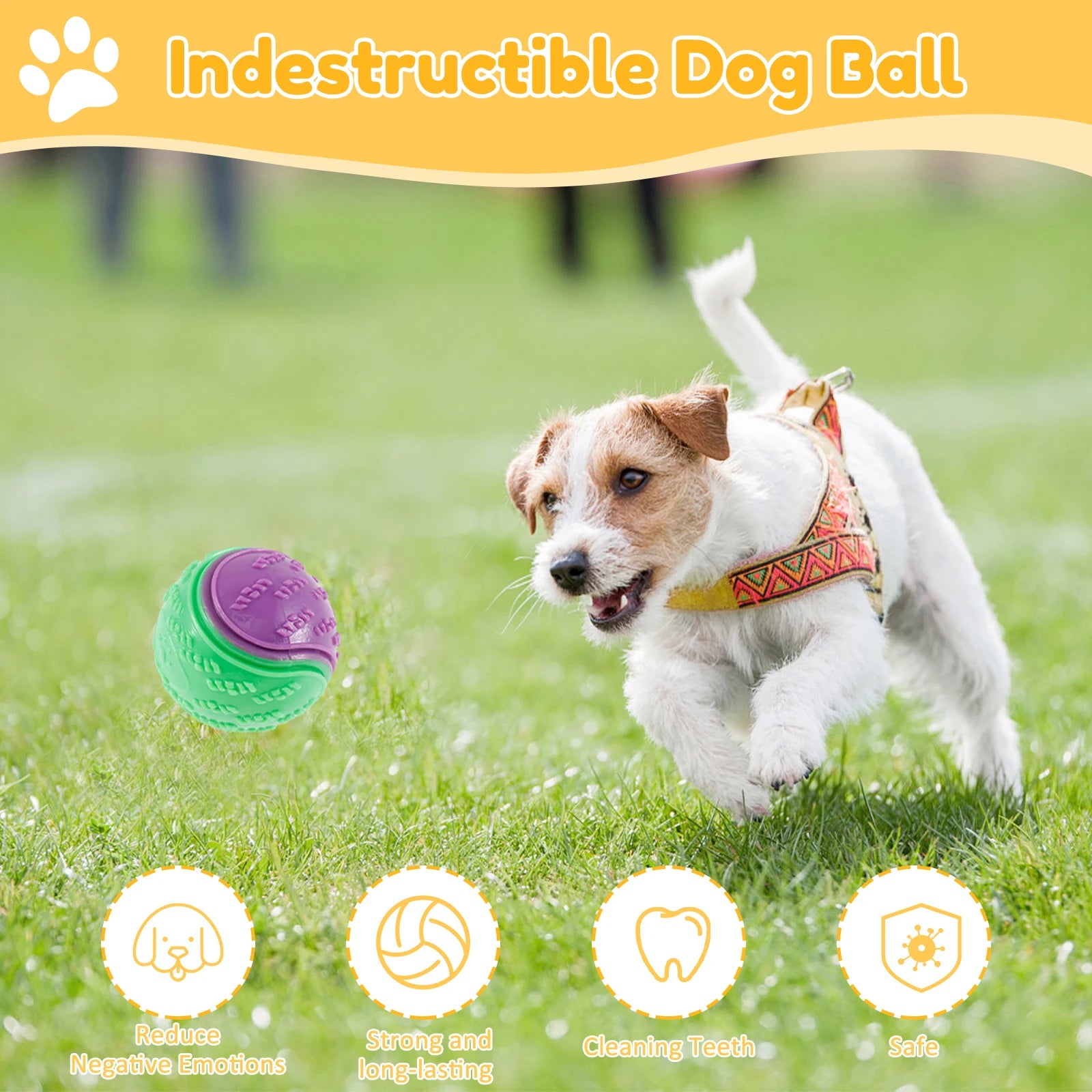 Premium 6-Pack Squeaky Balls for Dachshunds | Durable Interactive Chew Toys for Play & Dental Care