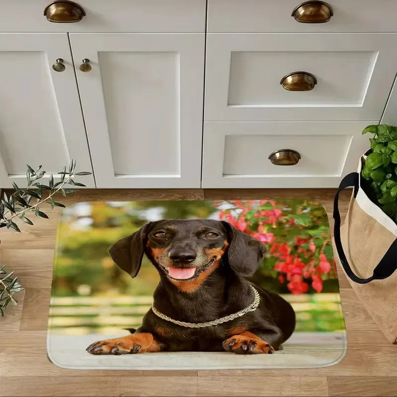 Dachshund Welcome Mat – Non-Slip Indoor Rug for Entryway, Kitchen & Living Room