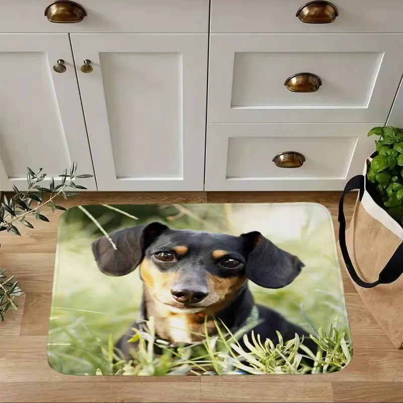Dachshund Welcome Mat – Non-Slip Indoor Rug for Entryway, Kitchen & Living Room