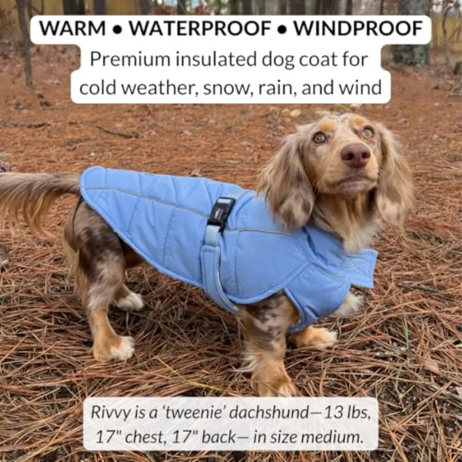 Dachshund Winter Shield™ – Waterproof Puffer Jacket for Cold Weather Walks