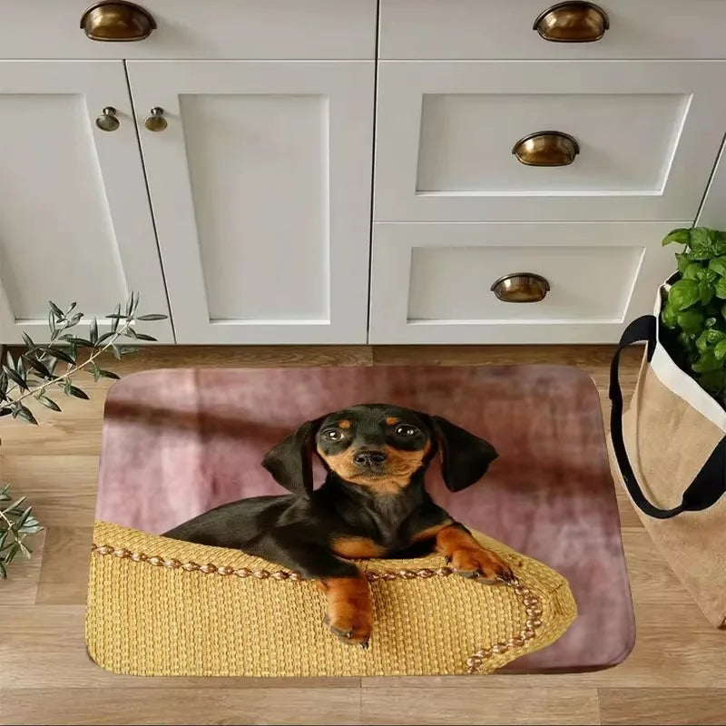 Dachshund Welcome Mat – Non-Slip Indoor Rug for Entryway, Kitchen & Living Room