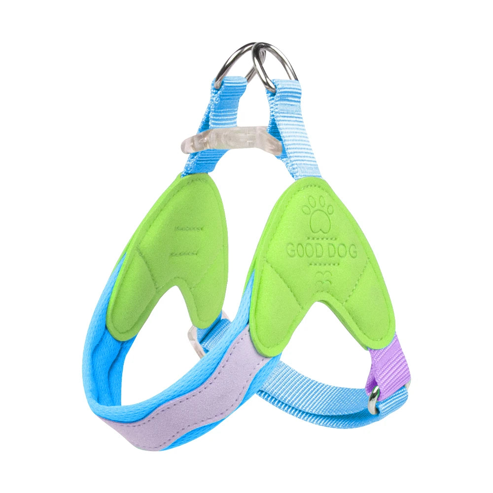Dachshund No-Pull Vest Harness™ | Padded Comfort & Effortless Control