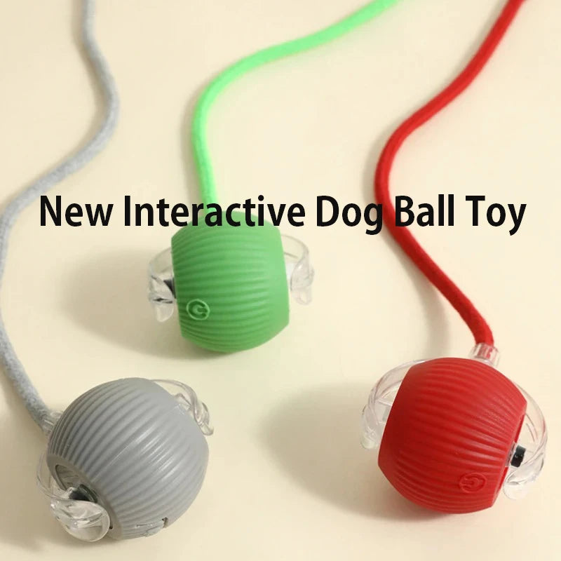 Dachshund Smart Motion Ball™ | Rechargeable Interactive Rolling Toy for Endless Fun & Exercise