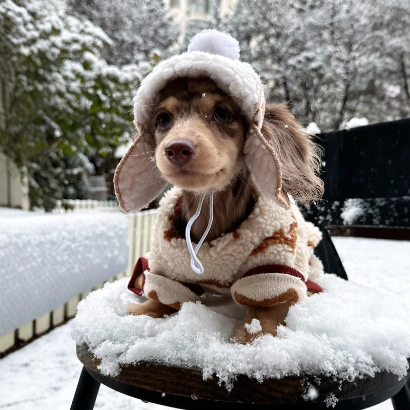 Dachshund ArcticShield™ Coat – Luxury Fleece Winter Jacket with Hood