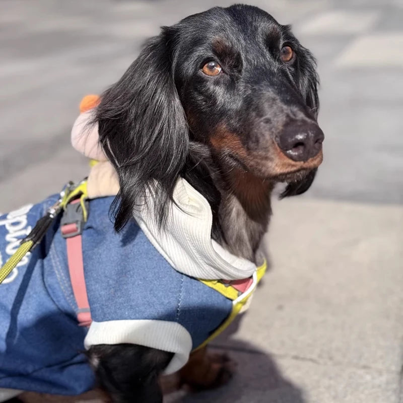 Dachshund Denim Hoodie™ – Premium Jean Jacket for Stylish Sausage Dogs