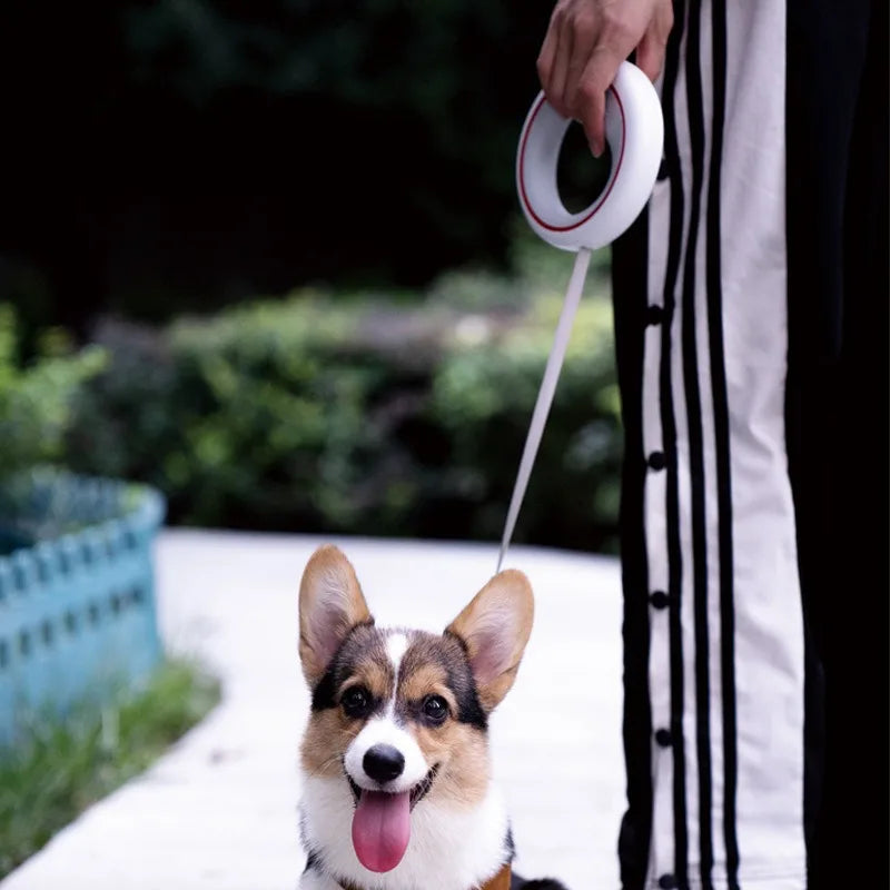Dachshund UFO Retractable Leash™ | 3M Freedom & One-Touch Control