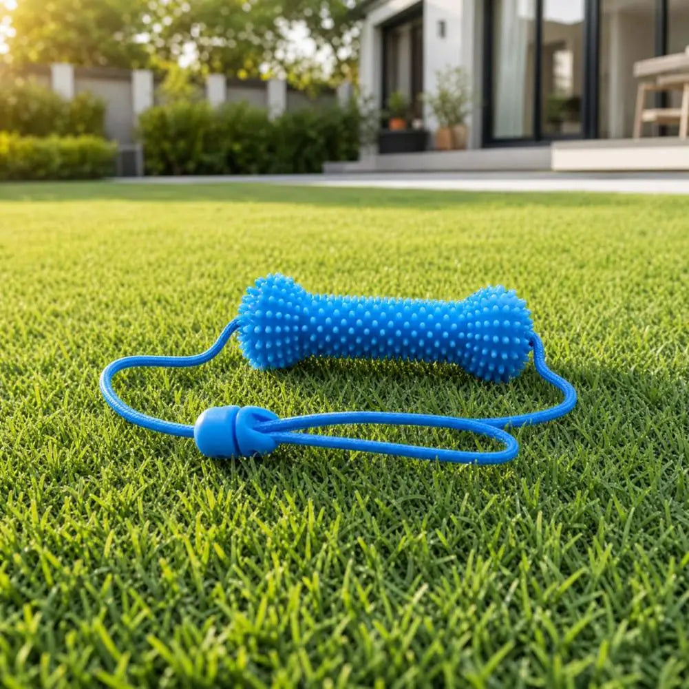 Dachshund Dental Care Chew Toy – Interactive Rubber Tooth Cleaning Aid for Dogs | Fresh Breath & Daily Oral Hygiene Tool for Small & Medium Dogs
