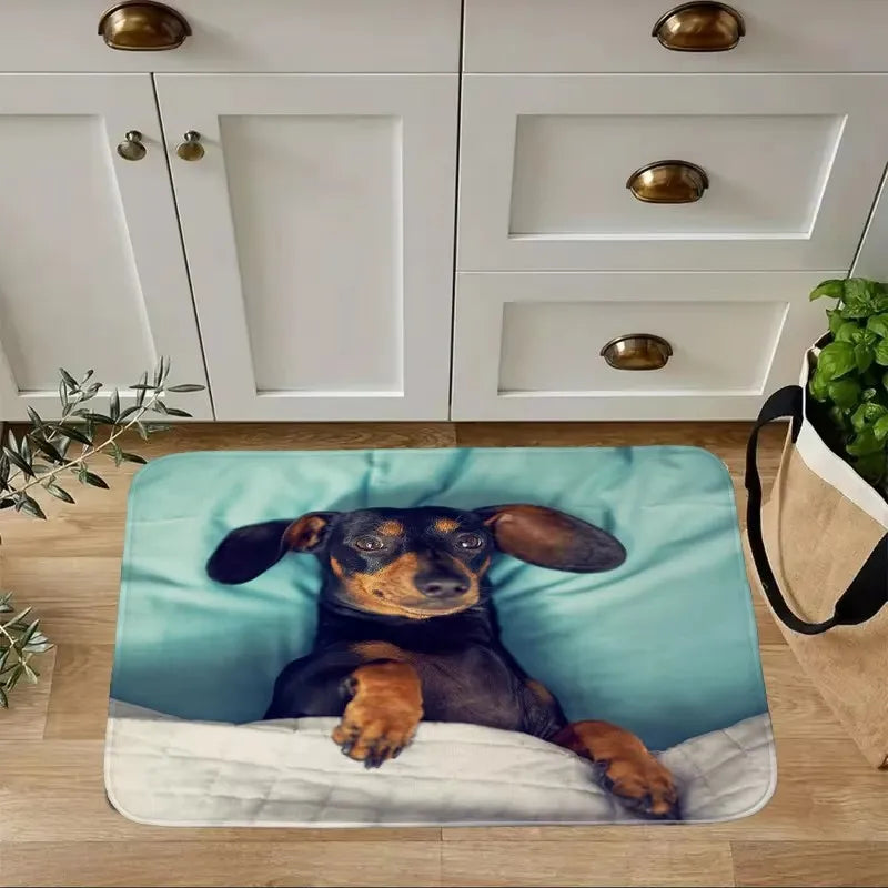 Dachshund Welcome Mat – Non-Slip Indoor Rug for Entryway, Kitchen & Living Room