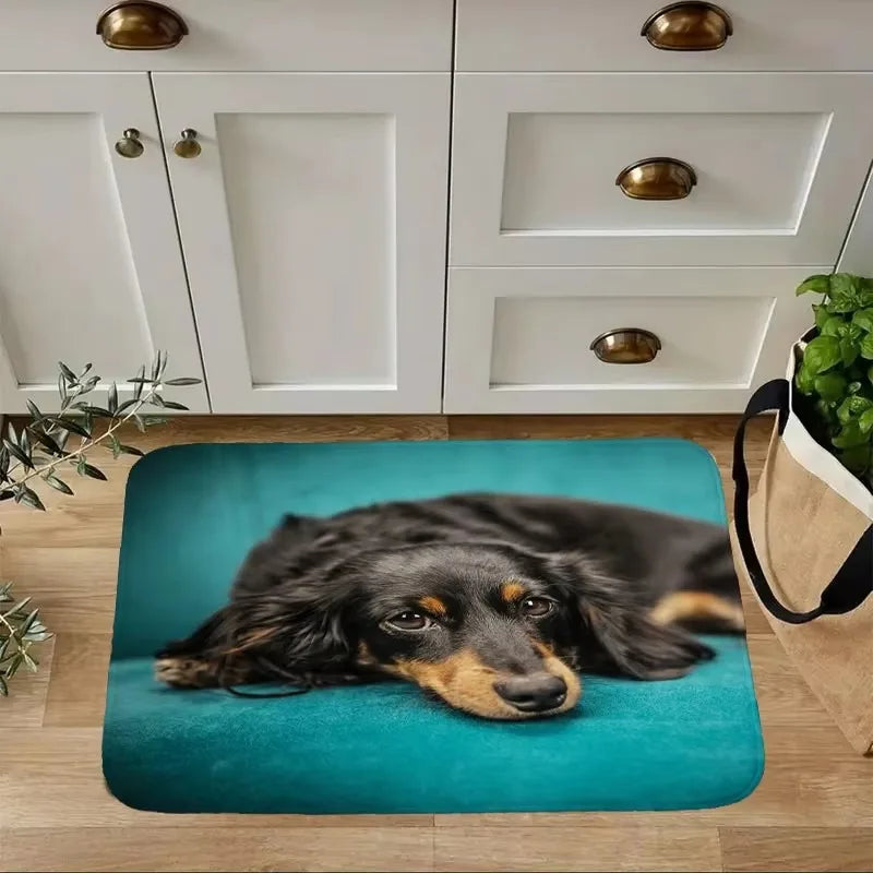 Dachshund Welcome Mat – Non-Slip Indoor Rug for Entryway, Kitchen & Living Room