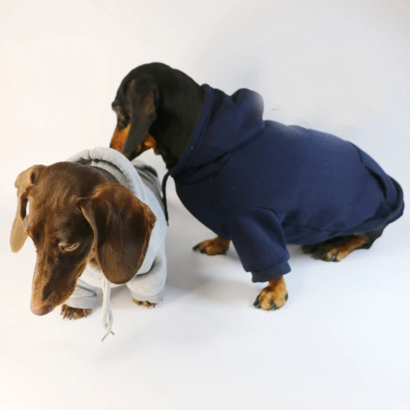 Cute Dachshund Sausage Hoodie – Warm Cotton Pullover Dog Clothes for Small Dogs, French Bulldog & Puppies Winter Outfit