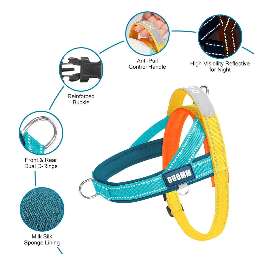 Dachshund AirFlow Harness™ | Lightweight No-Pull Comfort for Everyday Adventures