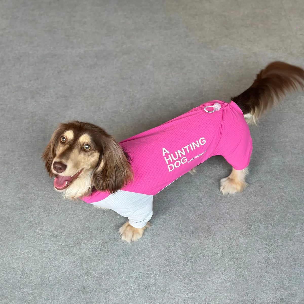 Dachshund CoolSuit™ – Full-Body Cooling Outfit for Hot Summer Days