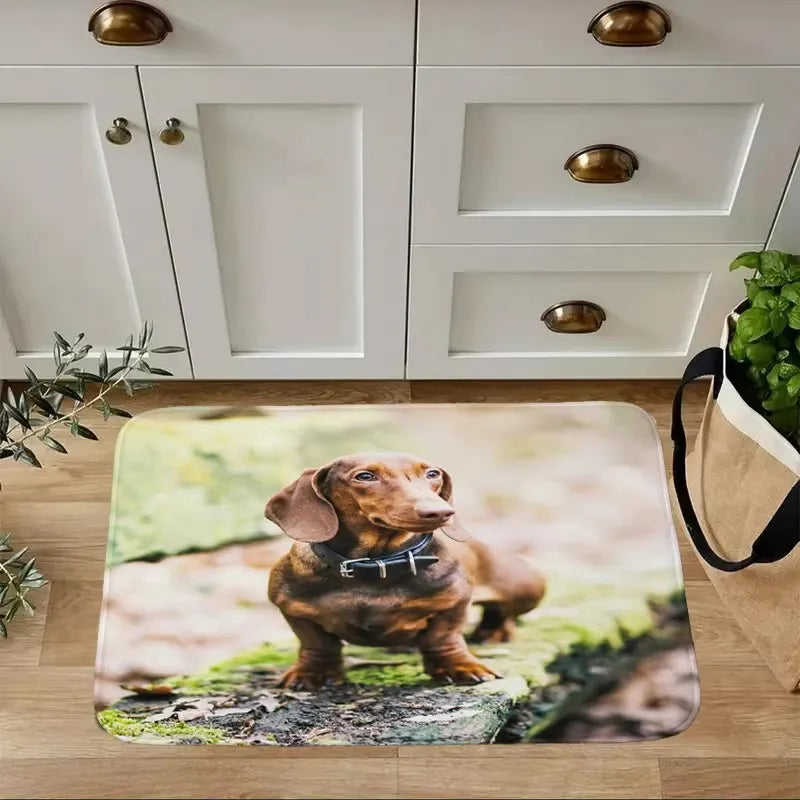 Dachshund Welcome Mat – Non-Slip Indoor Rug for Entryway, Kitchen & Living Room