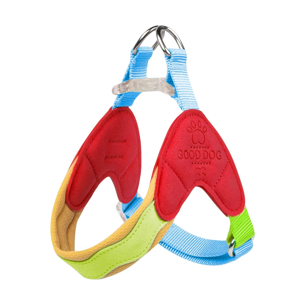 Dachshund No-Pull Vest Harness™ | Padded Comfort & Effortless Control