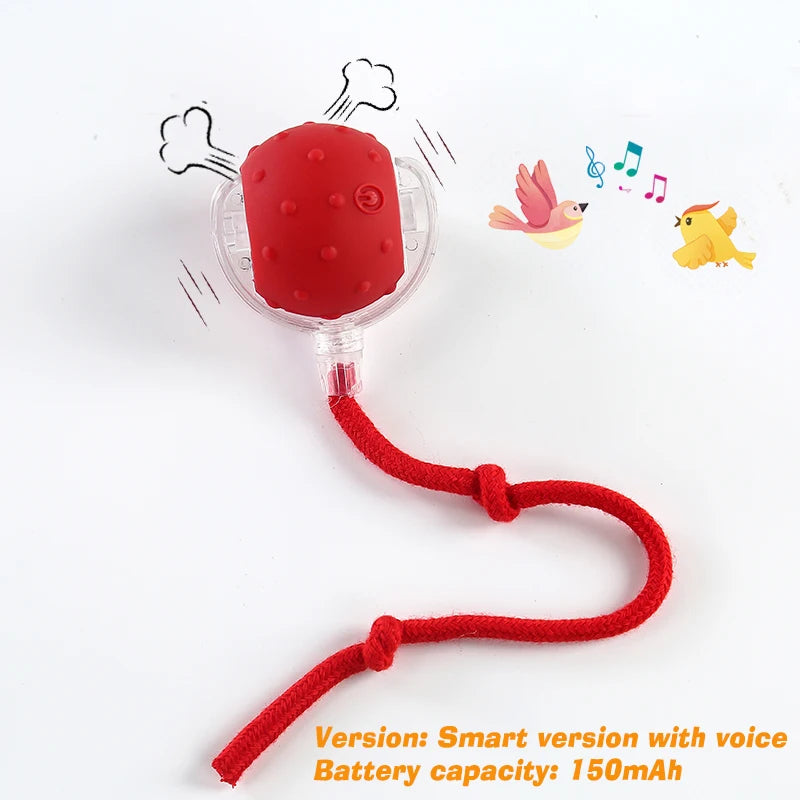 Dachshund Smart Motion Ball™ | Rechargeable Interactive Rolling Toy for Endless Fun & Exercise
