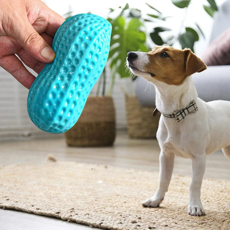 Dachshund Peanut Chew Toy™ | Squeaky Dental Chew for Healthy Teeth & Endless Play