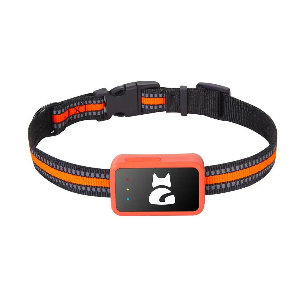 Dachshund Guardian Pro™ 4G GPS Collar – Real-Time Tracking & Virtual Fence Protection