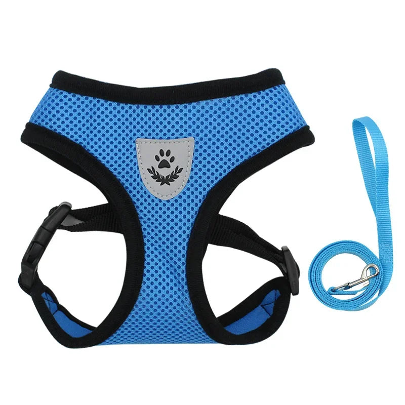 Dachshund AirMesh Harness™ | Lightweight Breathable Comfort for Every Walk
