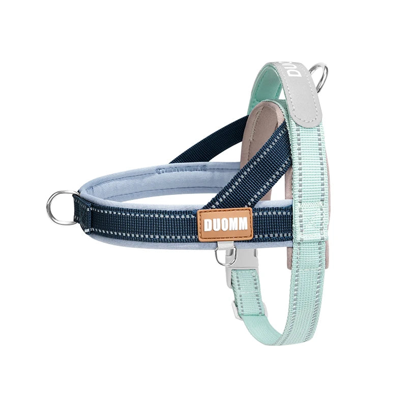 Dachshund AirFlow Harness™ | Lightweight No-Pull Comfort for Everyday Adventures