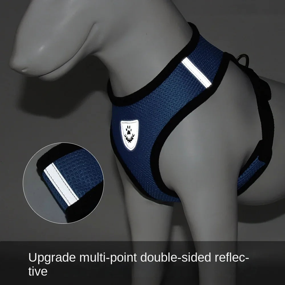 Dachshund AirMesh Harness™ | Lightweight Breathable Comfort for Every Walk