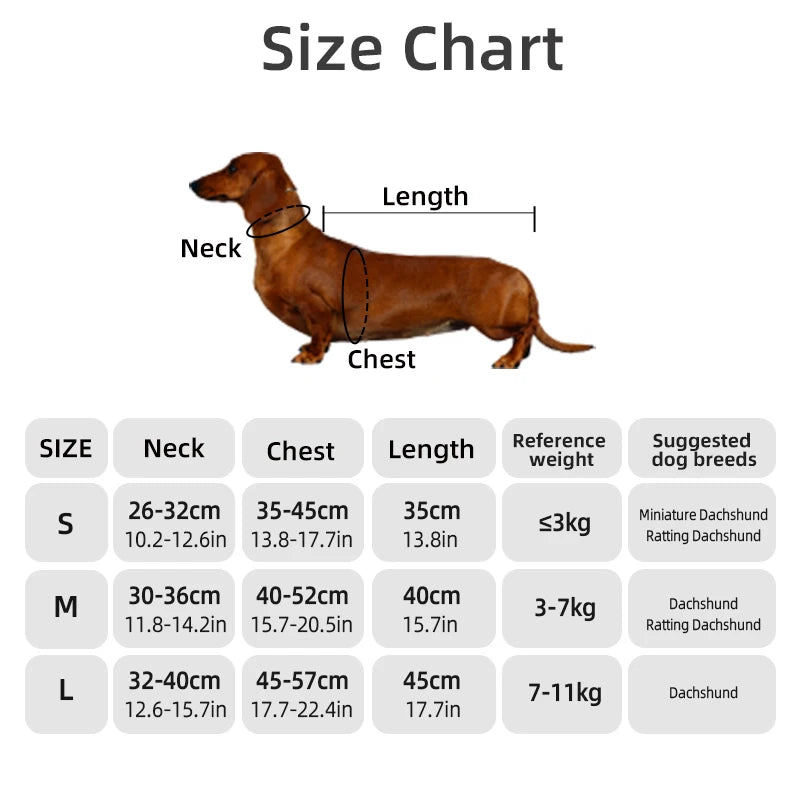 Dachshund WinterShield™ Coat – Waterproof & Windproof Jacket for Cold Weather Walks