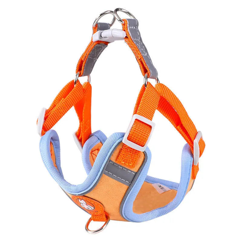 Dachshund Comfort Walk Set™ | No-Pull Harness & Leash for Effortless Adventures