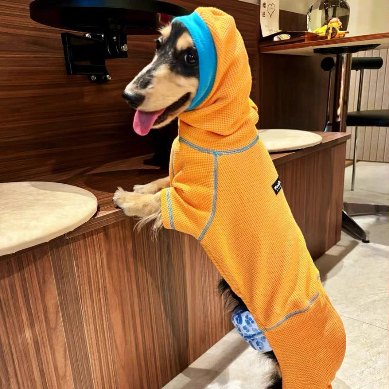 Dachshund ComfortFlex™ Waffle Jumpsuit – Premium 4-Leg Everyday Sweater