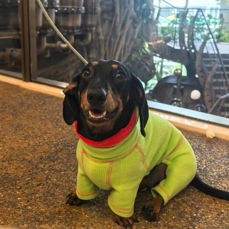 Dachshund Essential™ Waffle Shirt – Ultra-Soft Everyday Comfort for Sausage Dogs