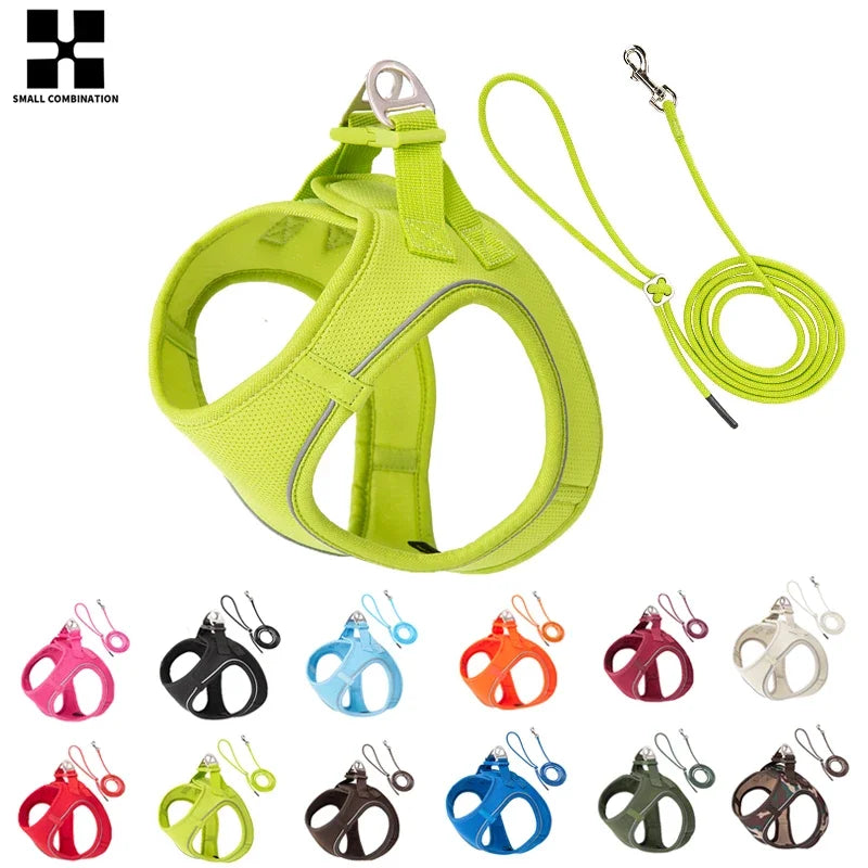Premium Dachshund Harness & Leash Set – Safe, Comfortable & Escape-Proof for Daily Walks