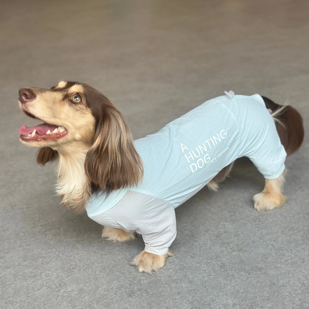 Dachshund CoolSuit™ – Full-Body Cooling Outfit for Hot Summer Days